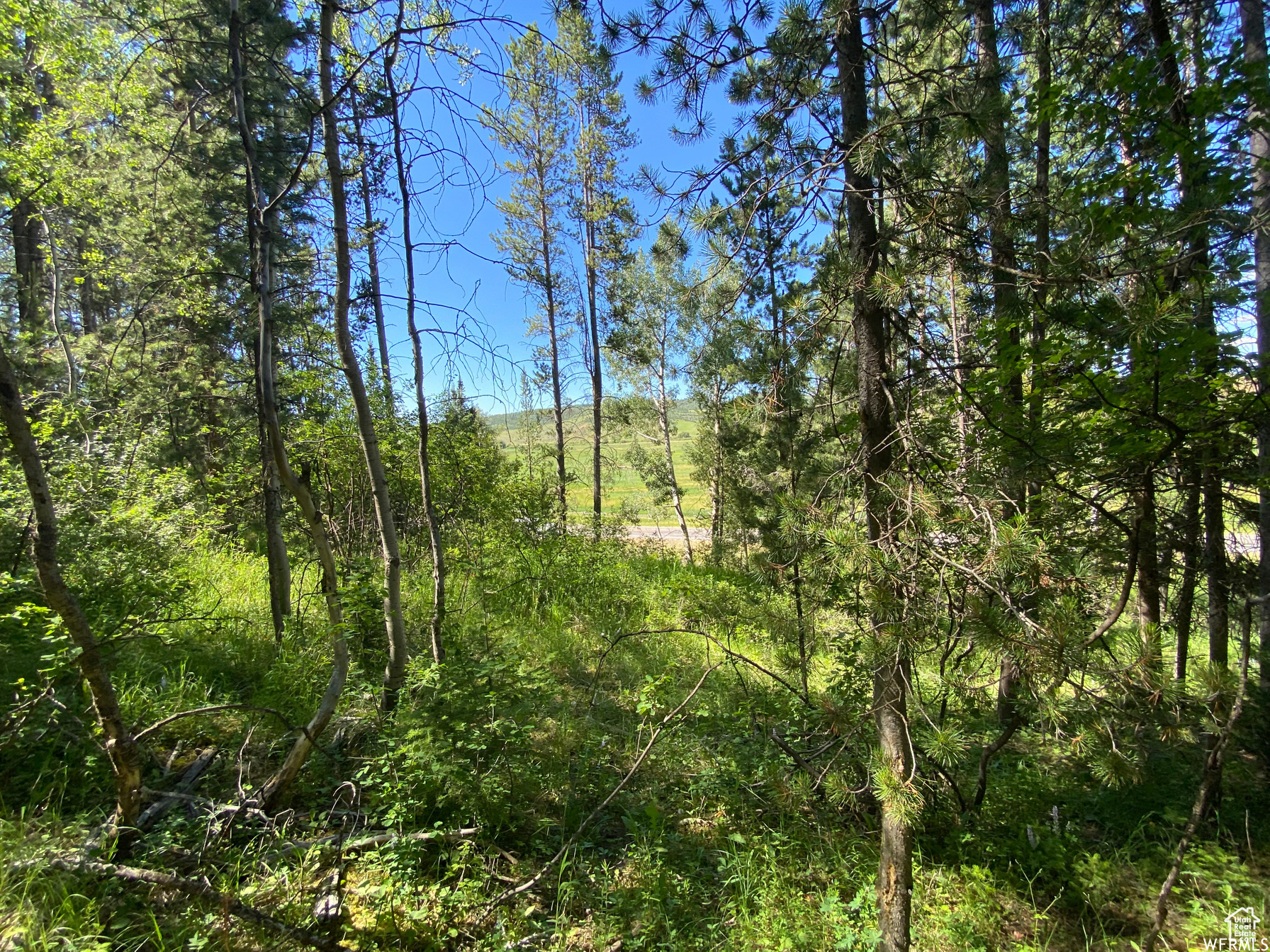 GROUSE CREEK RANCH - Land