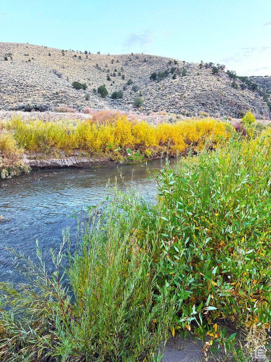 This is how you know that you are living the dream!!! With 7 acres and the Sevier River running through, you can create your dream property. Whether it is the small ranch with animals, or a dream oasis this is your chance to have it all.