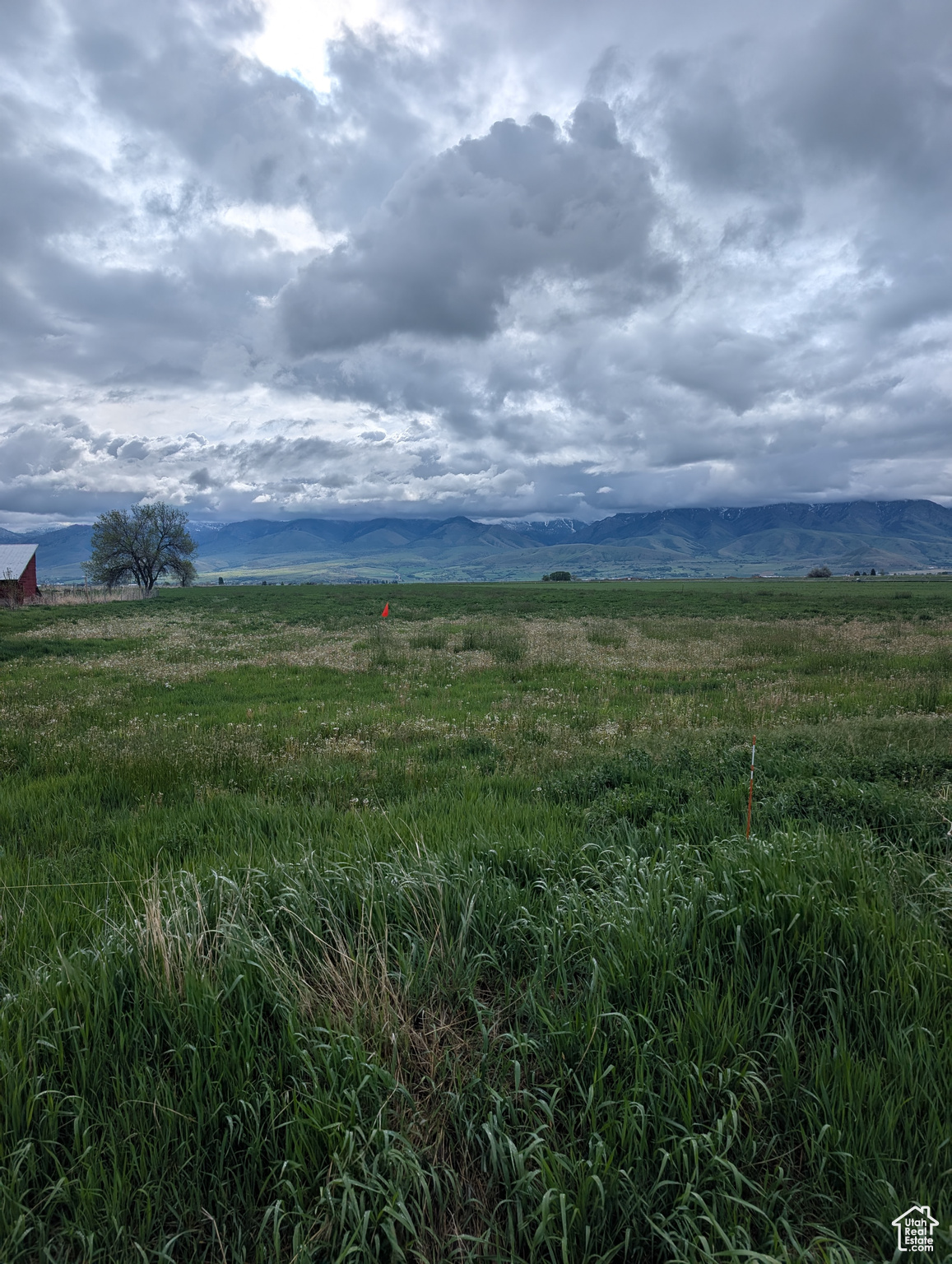 Land, Preston, Idaho image 4