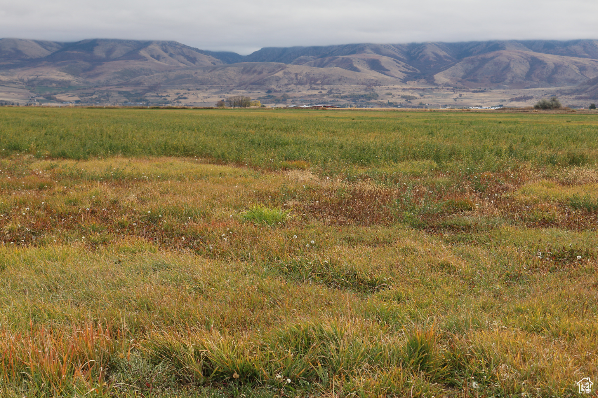 Land, Preston, Idaho image 2