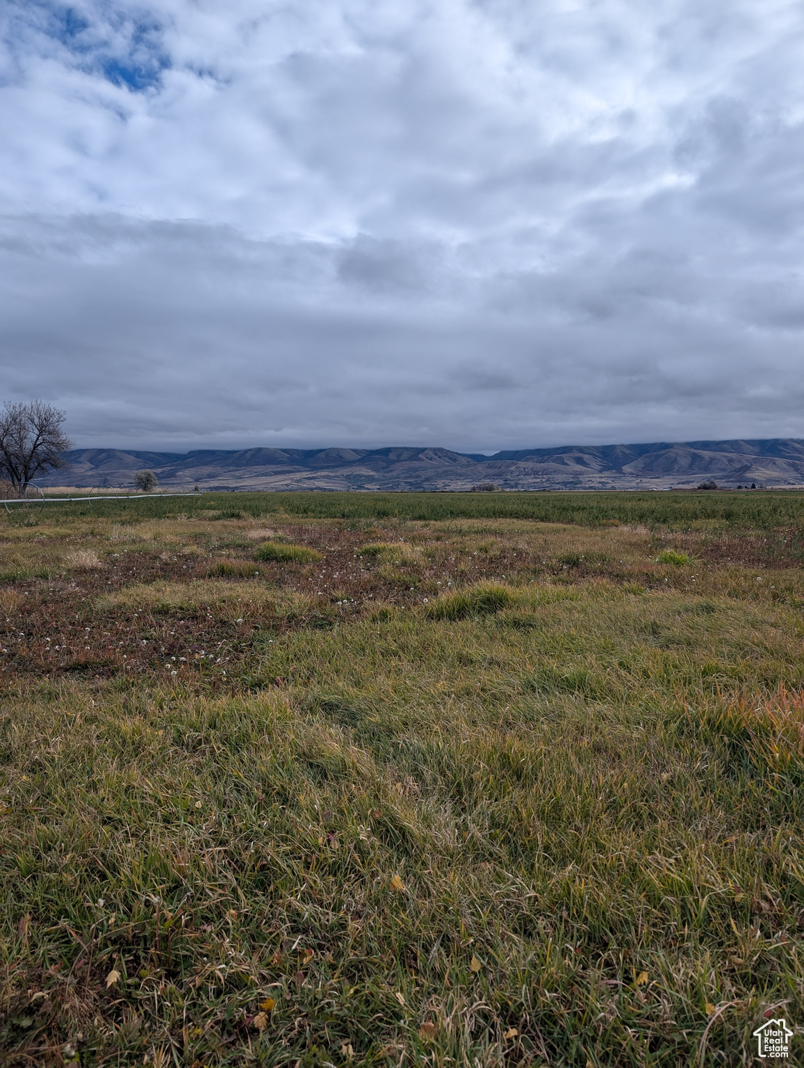 Land, Preston, Idaho image 1