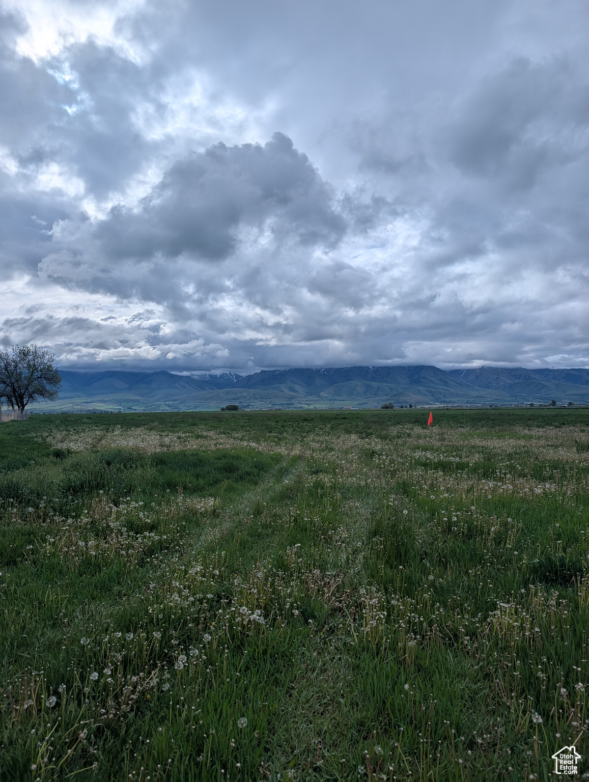 Land, Preston, Idaho image 3
