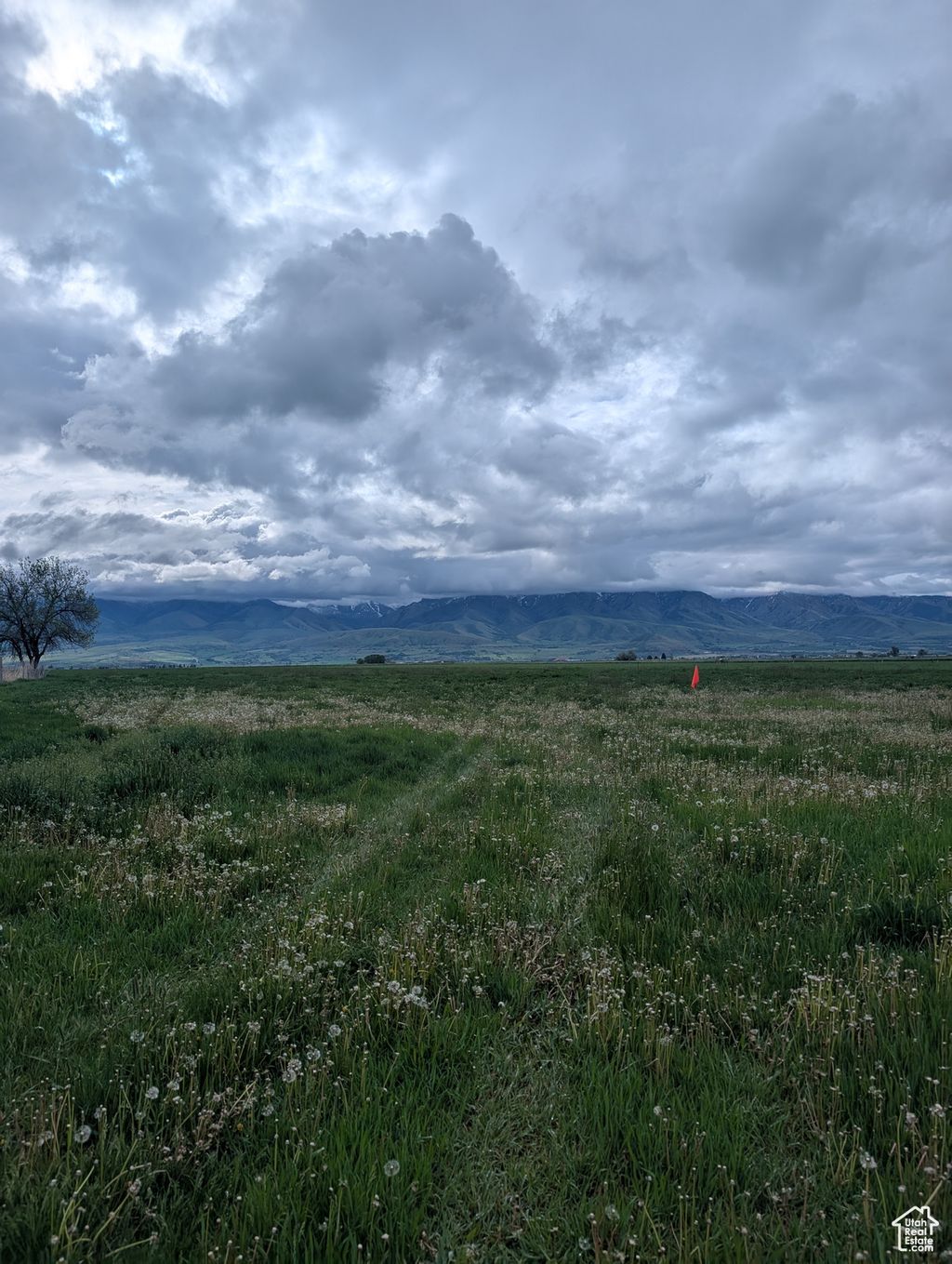 Photo of Preston, ID 83263 (MLS # 2030809)