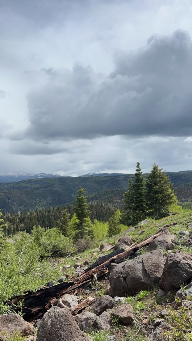 Land, Beaver, Utah image 4