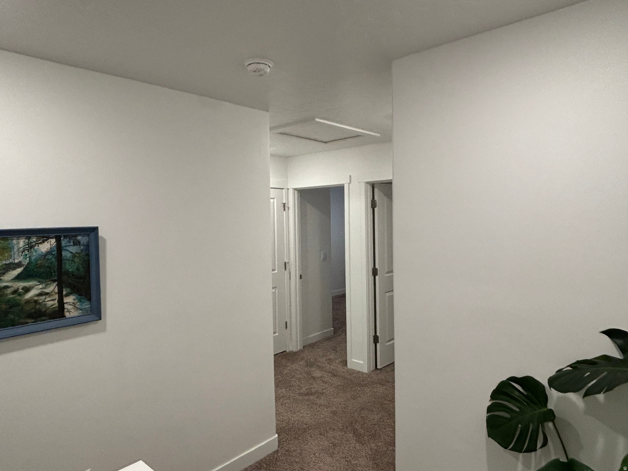 COLD SPRING RANCH - Residential