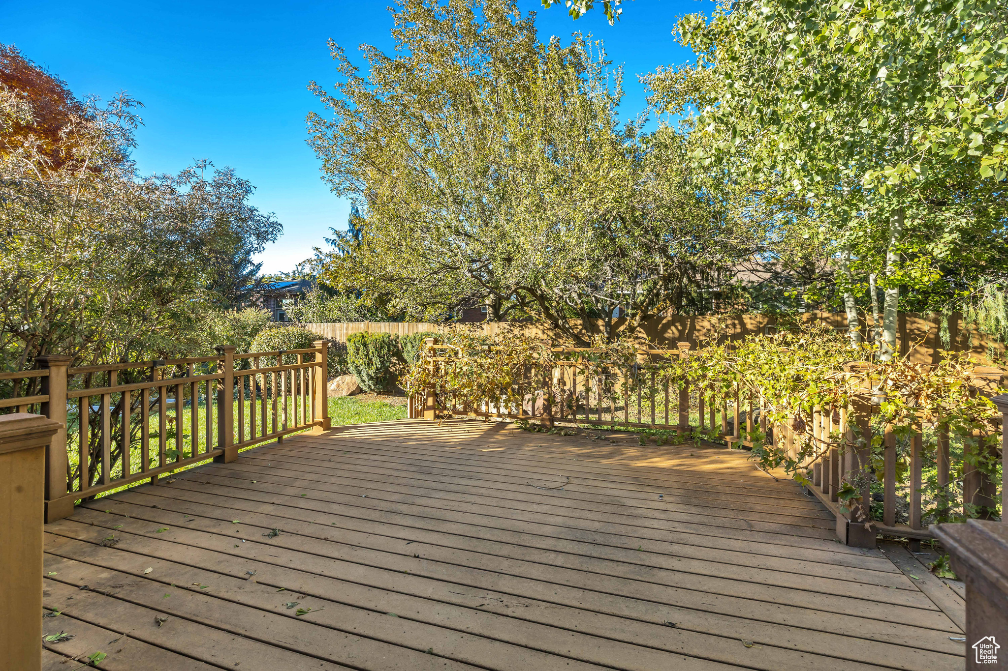 STEVEN ACRES - Residential