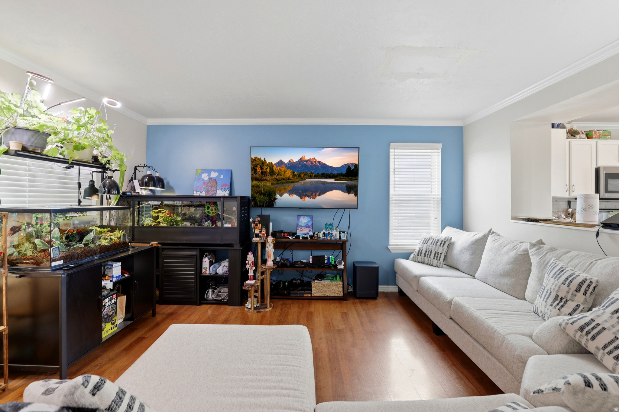 BALMORAL TOWNHOMES P - Residential