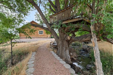 Tiny photo for 986 E 2290 N, Monroe, UT 84754 (MLS # 2135412)