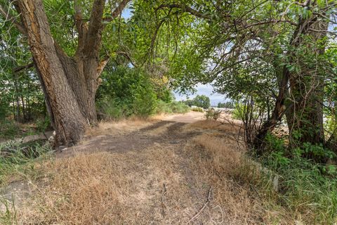 Tiny photo for 986 E 2290 N, Monroe, UT 84754 (MLS # 2135412)
