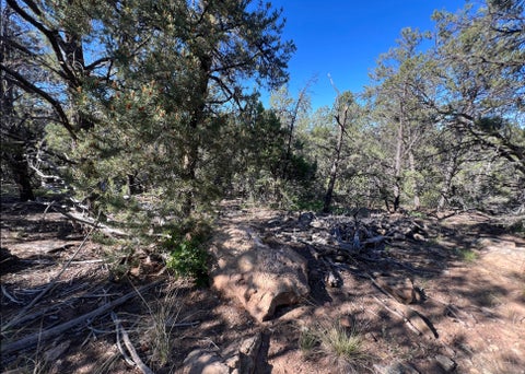 Tiny photo for La Sal, UT 84530 (MLS # 2168587)