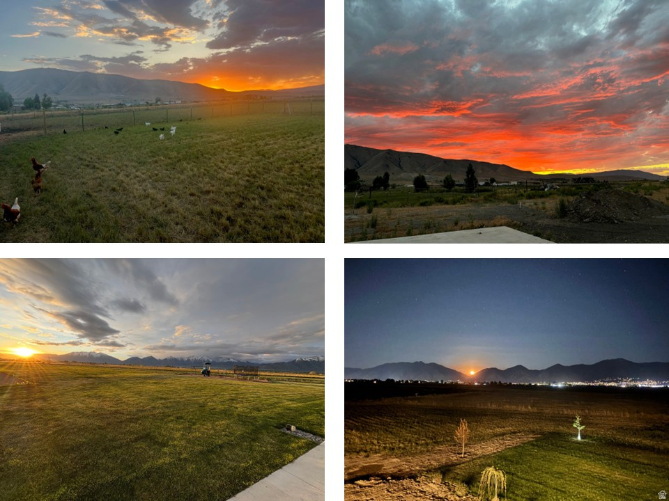 CHANDLER - Residential