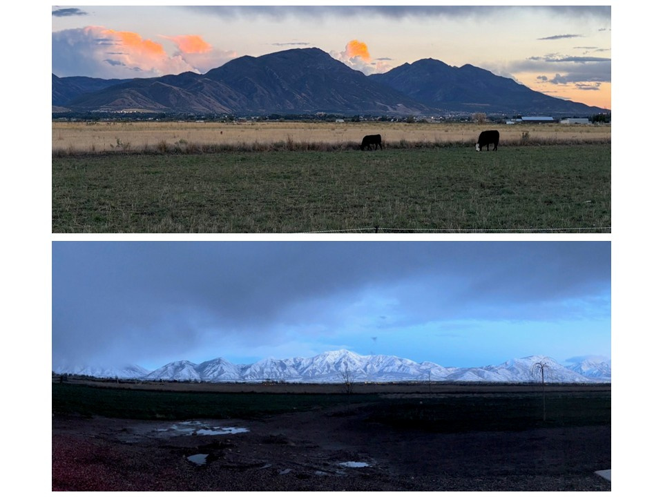 CHANDLER - Residential