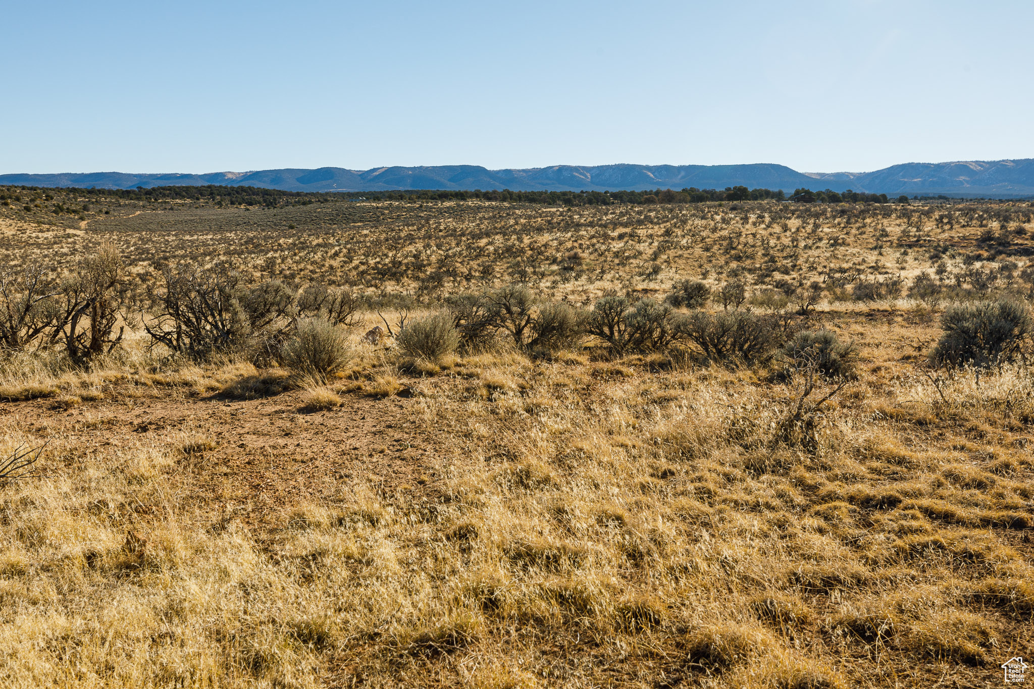 Land, Fredonia, Arizona image 15
