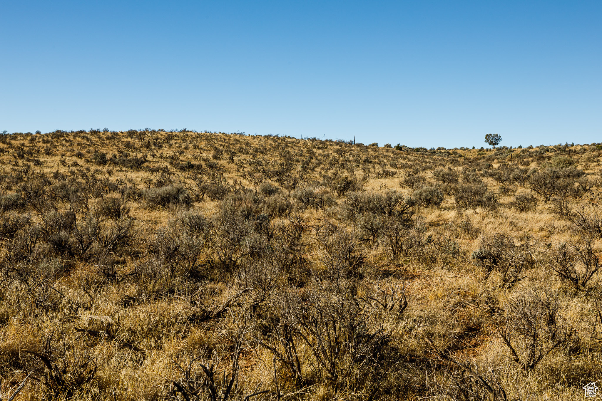 Land, Fredonia, Arizona image 13