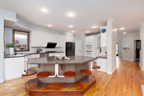 Tiny photo for 1209 E BEAR HOLLOW CV, Draper, UT 84020 (MLS # 2147254)