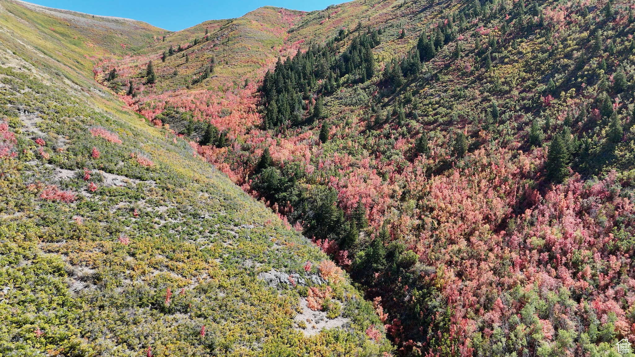 CANYON MEADOWS - Land