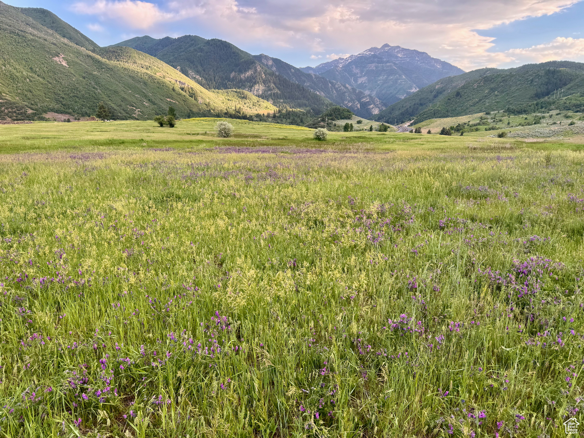 CANYON MEADOWS - Land