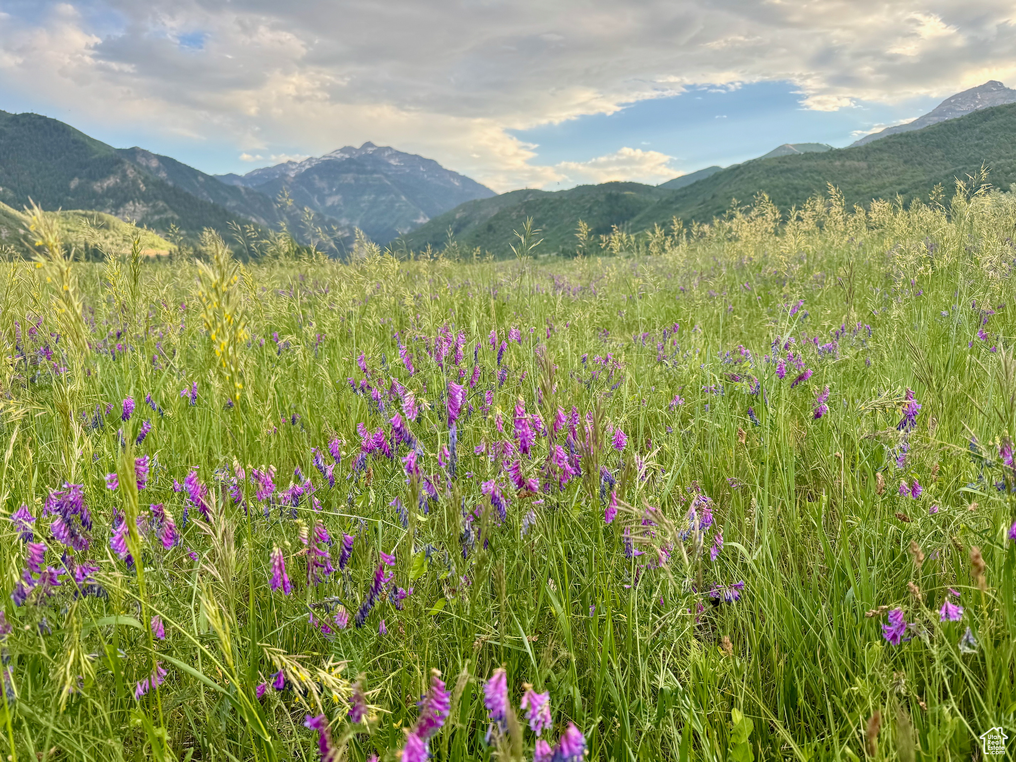 CANYON MEADOWS - Land