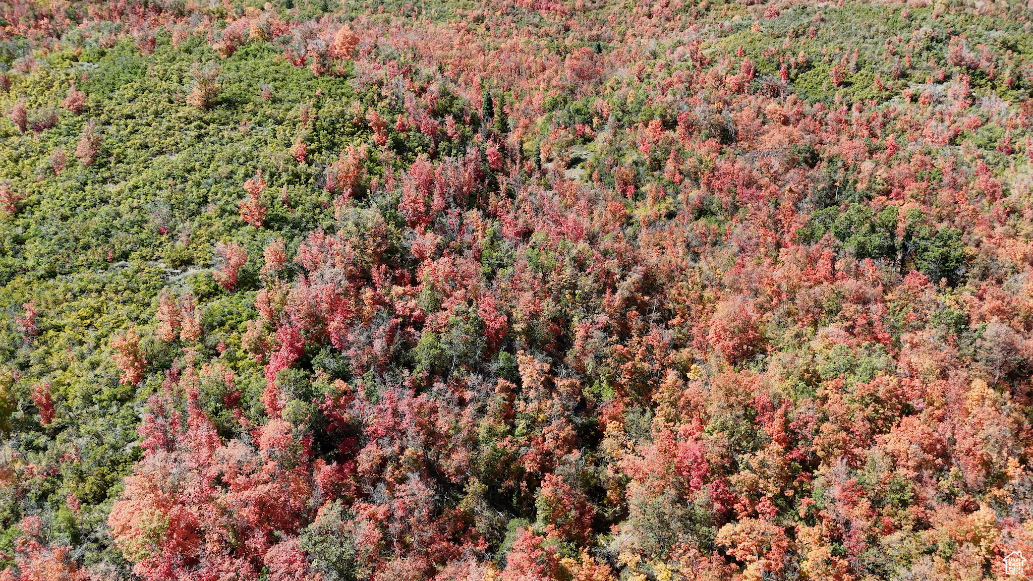 CANYON MEADOWS - Land