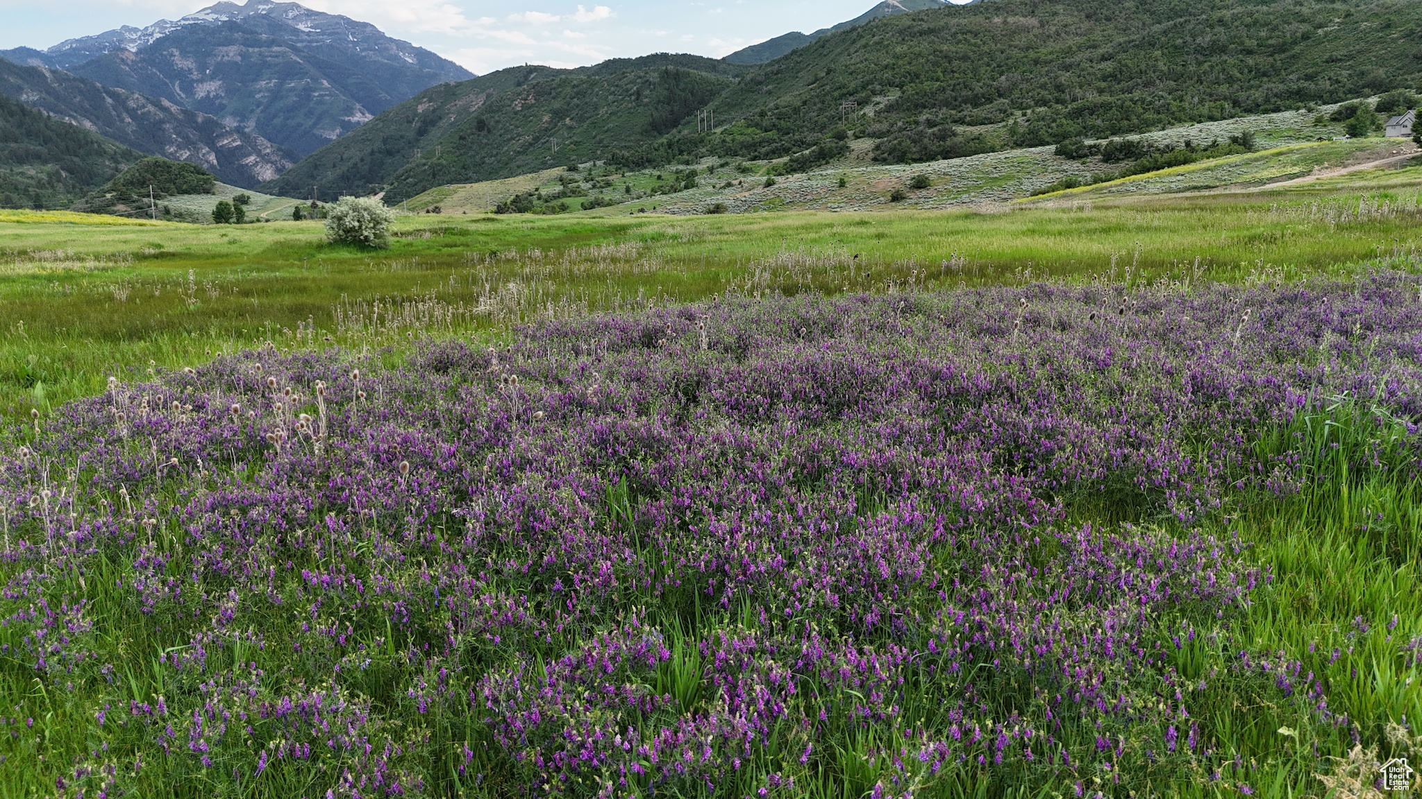 CANYON MEADOWS - Land