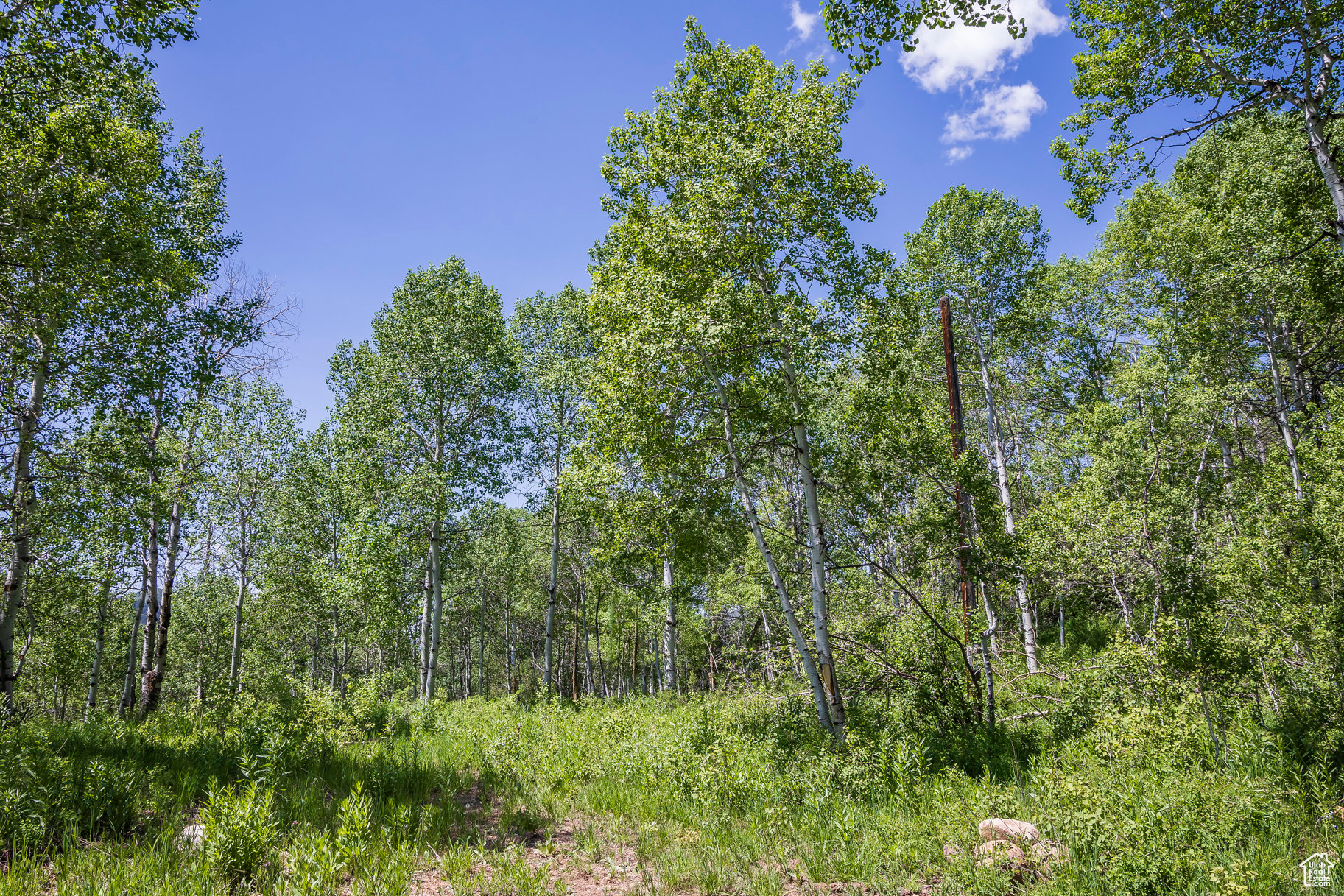 BEAVER SPRINGS RANCH SUBDIV - Land