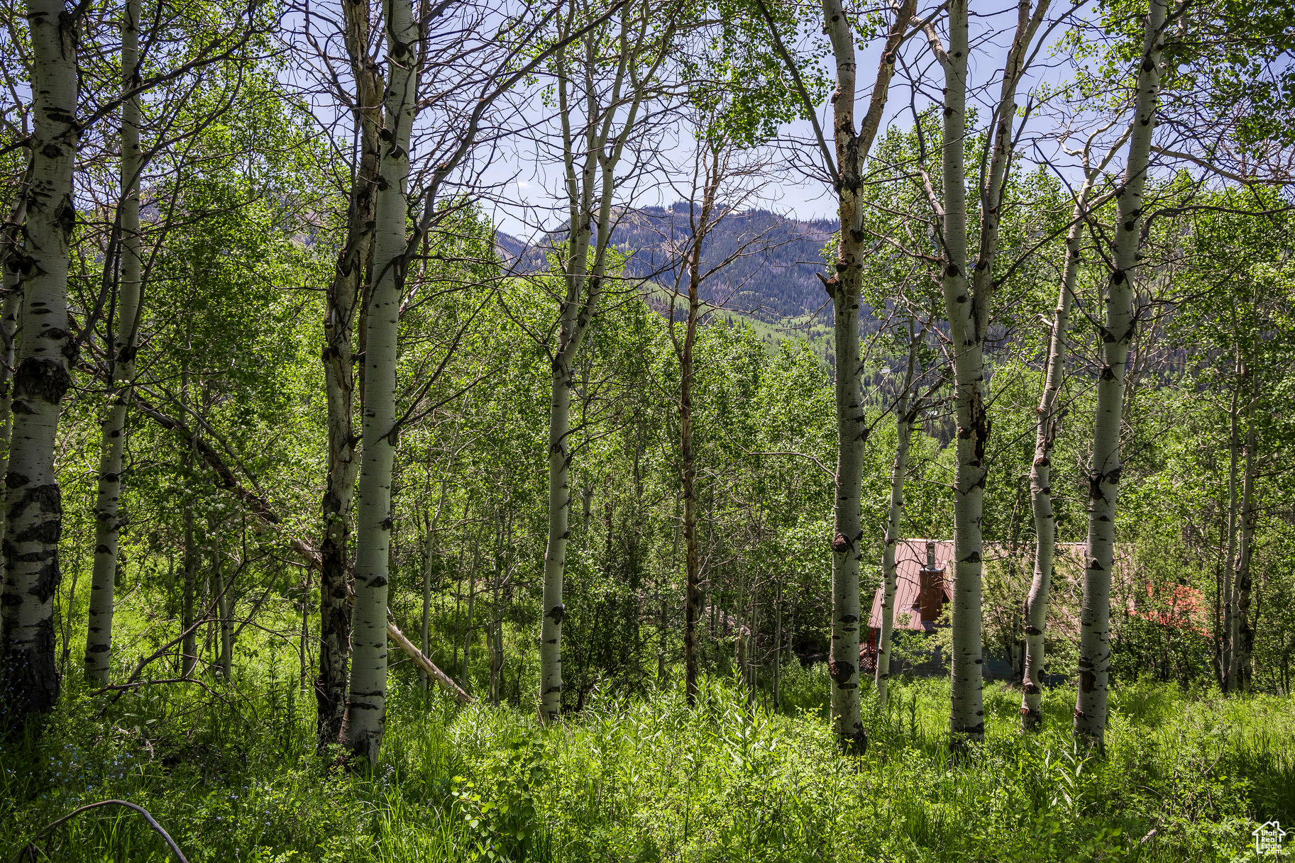 BEAVER SPRINGS RANCH SUBDIV - Land