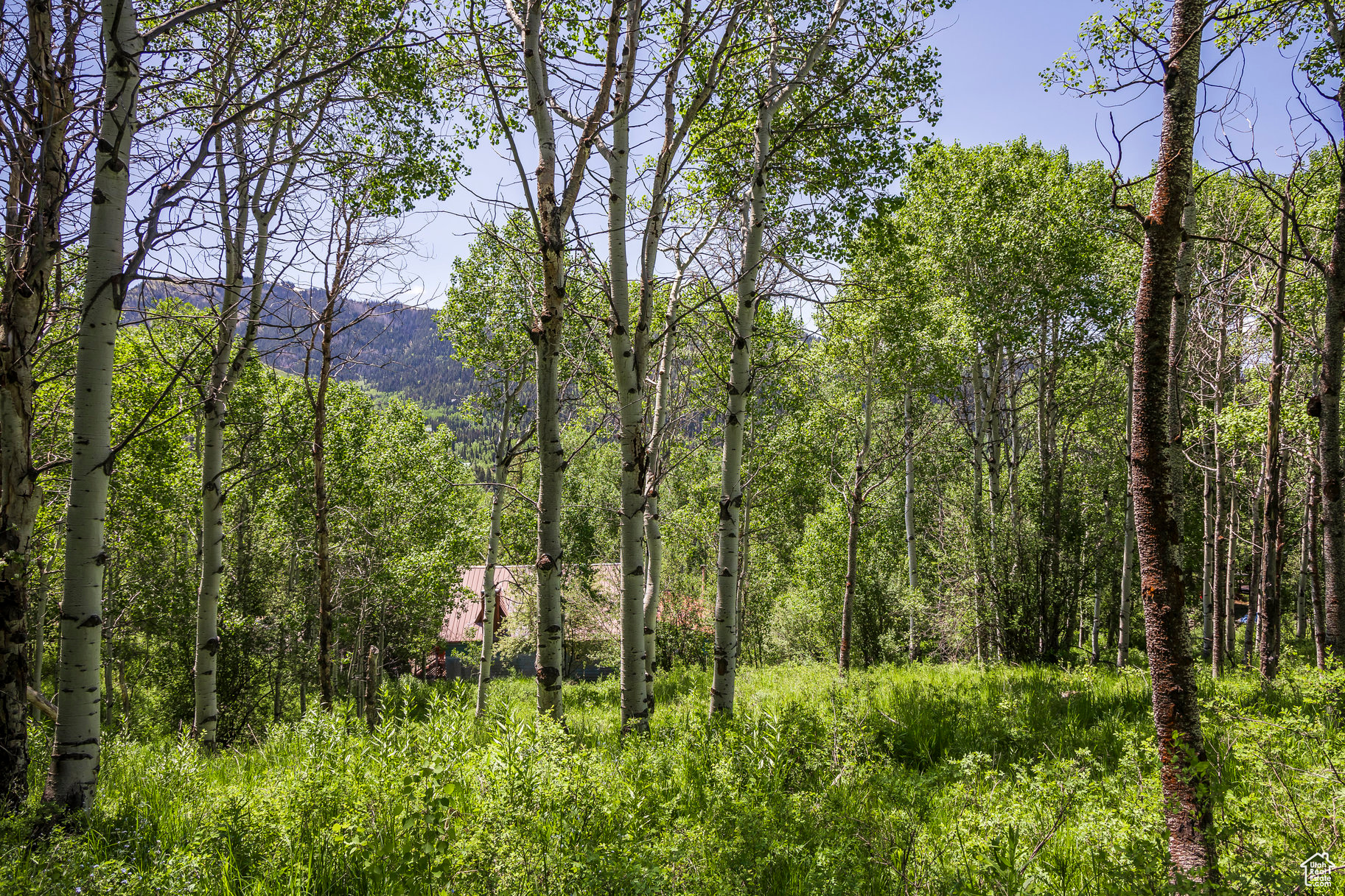 BEAVER SPRINGS RANCH SUBDIV - Land