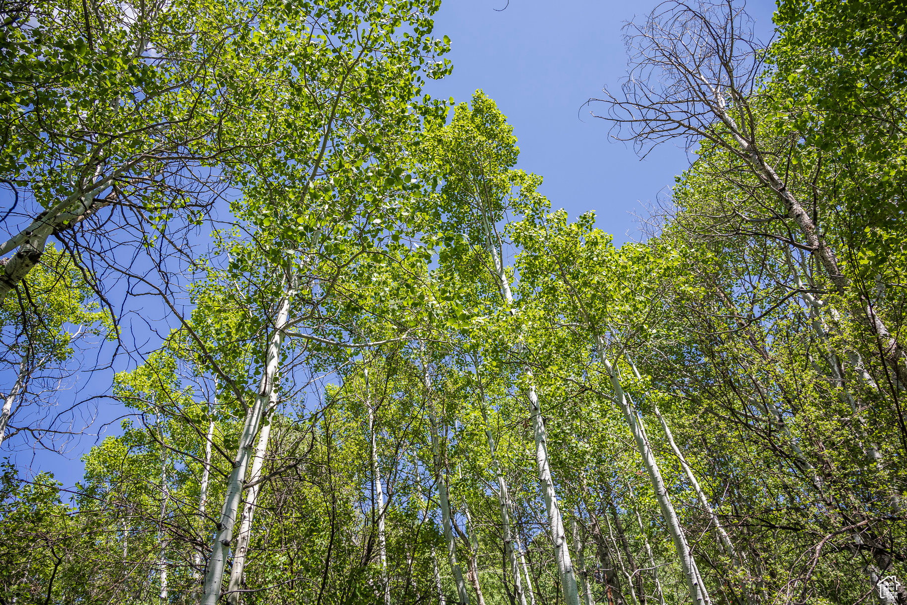 BEAVER SPRINGS RANCH SUBDIV - Land