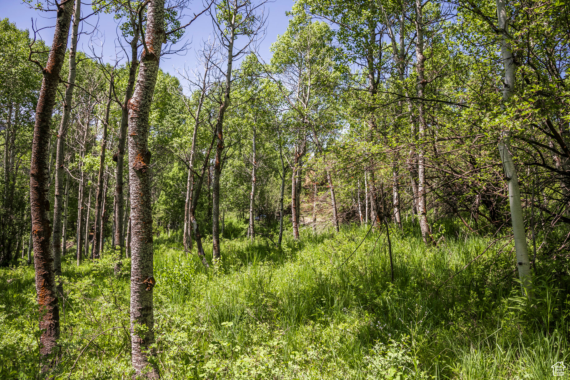 BEAVER SPRINGS RANCH SUBDIV - Land