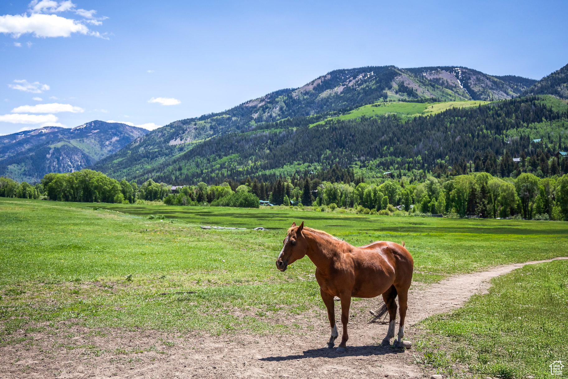 BEAVER SPRINGS RANCH SUBDIV - Land