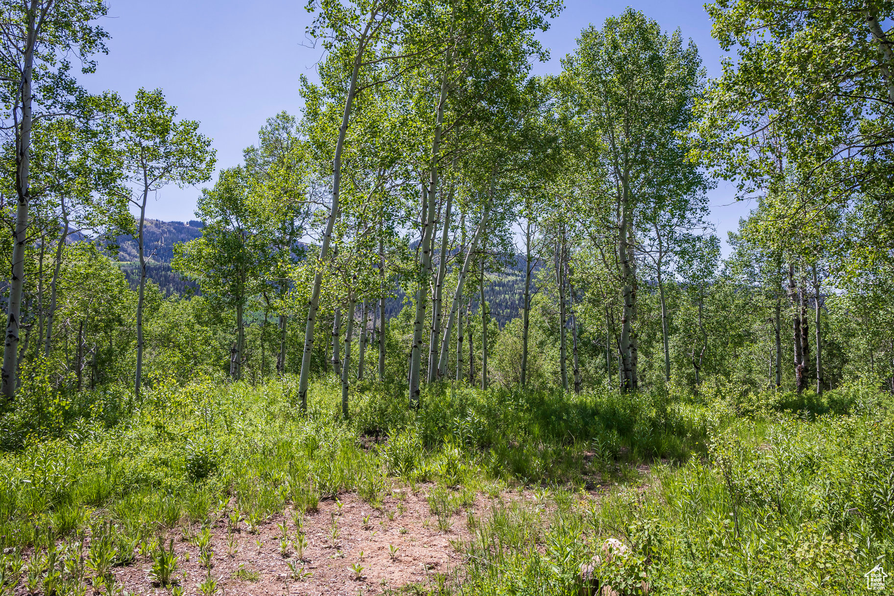 BEAVER SPRINGS RANCH SUBDIV - Land