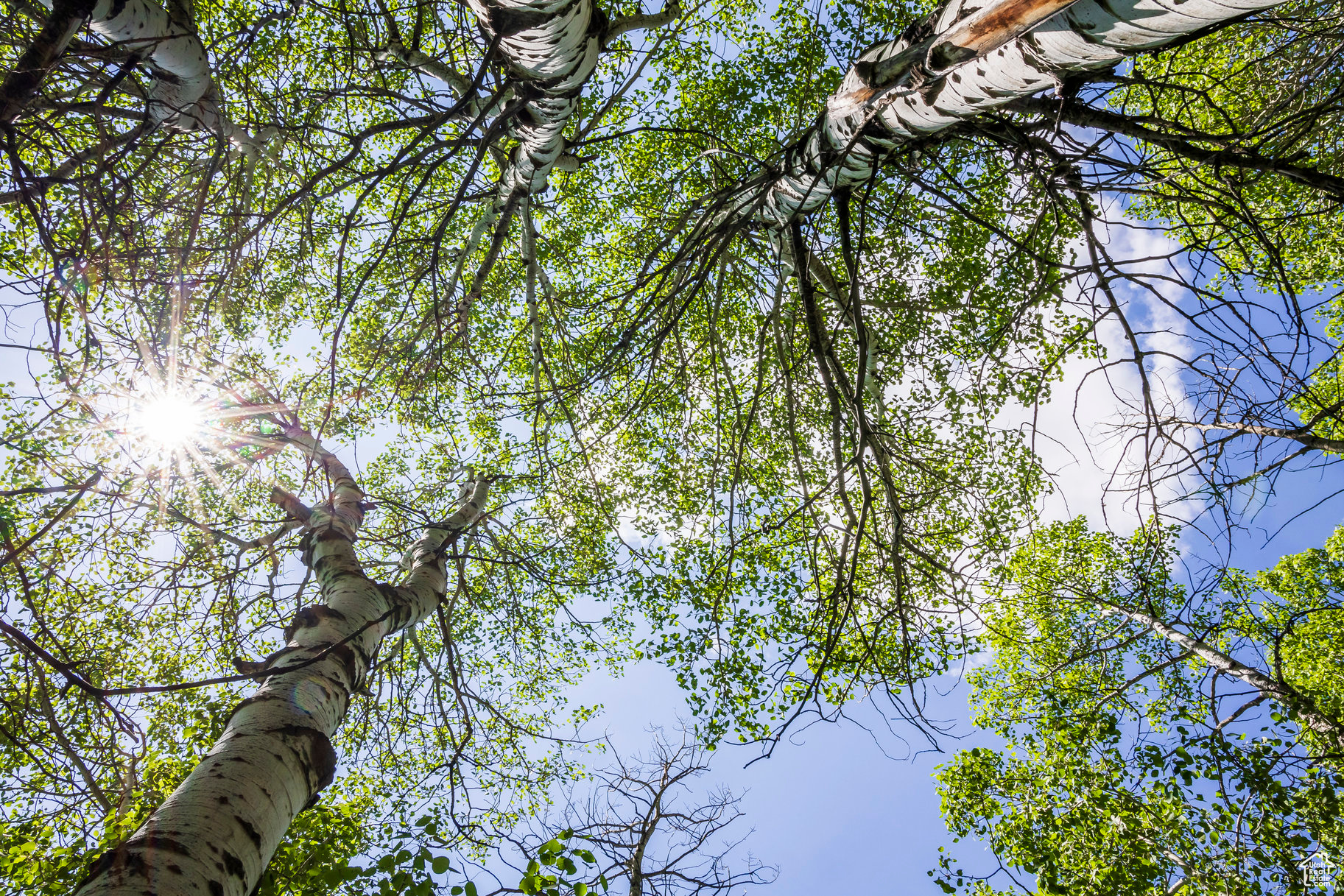 BEAVER SPRINGS RANCH SUBDIV - Land