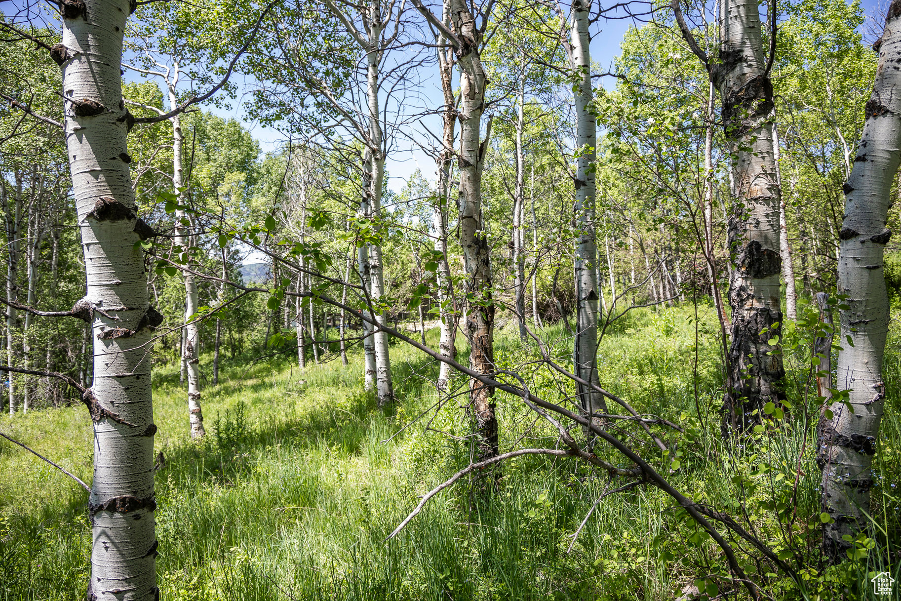 BEAVER SPRINGS RANCH SUBDIV - Land
