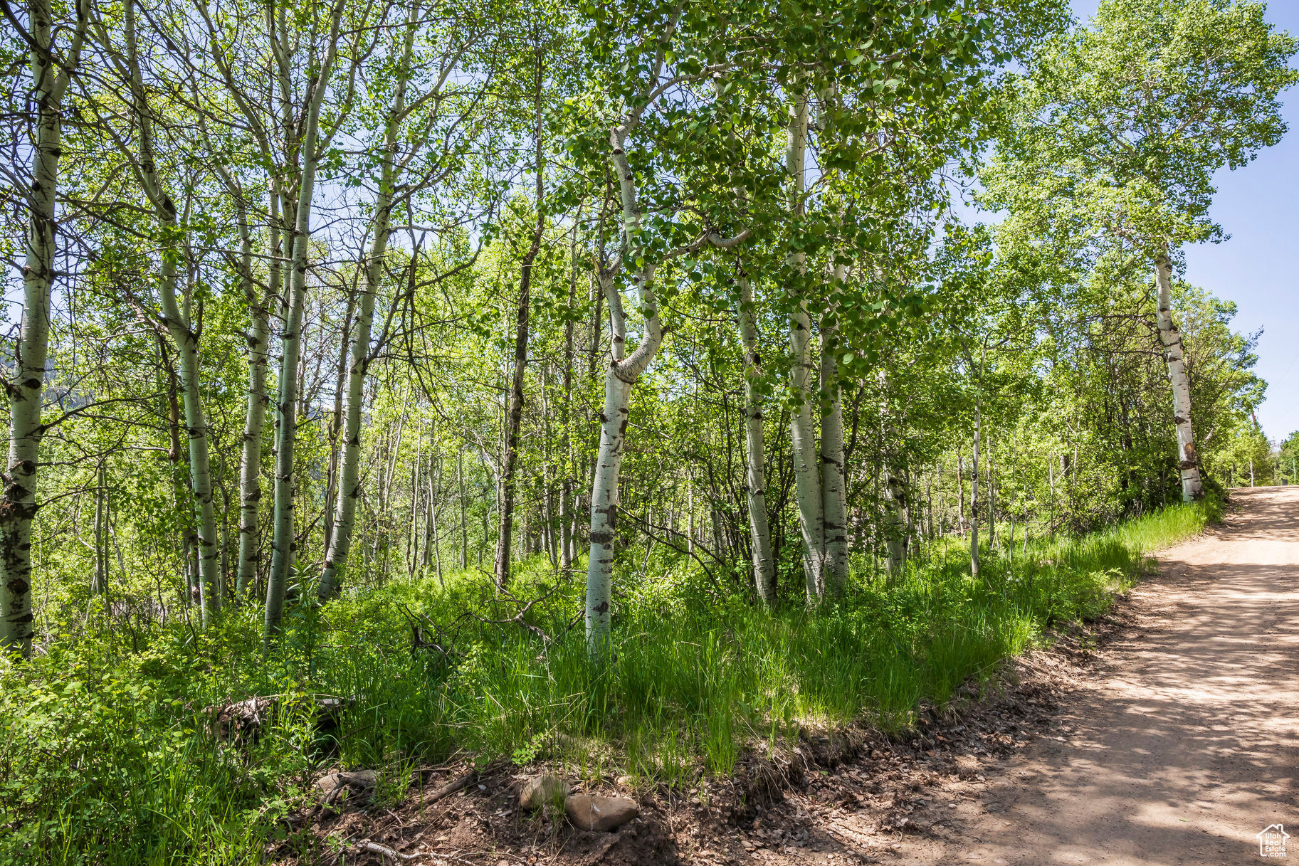 BEAVER SPRINGS RANCH SUBDIV - Land