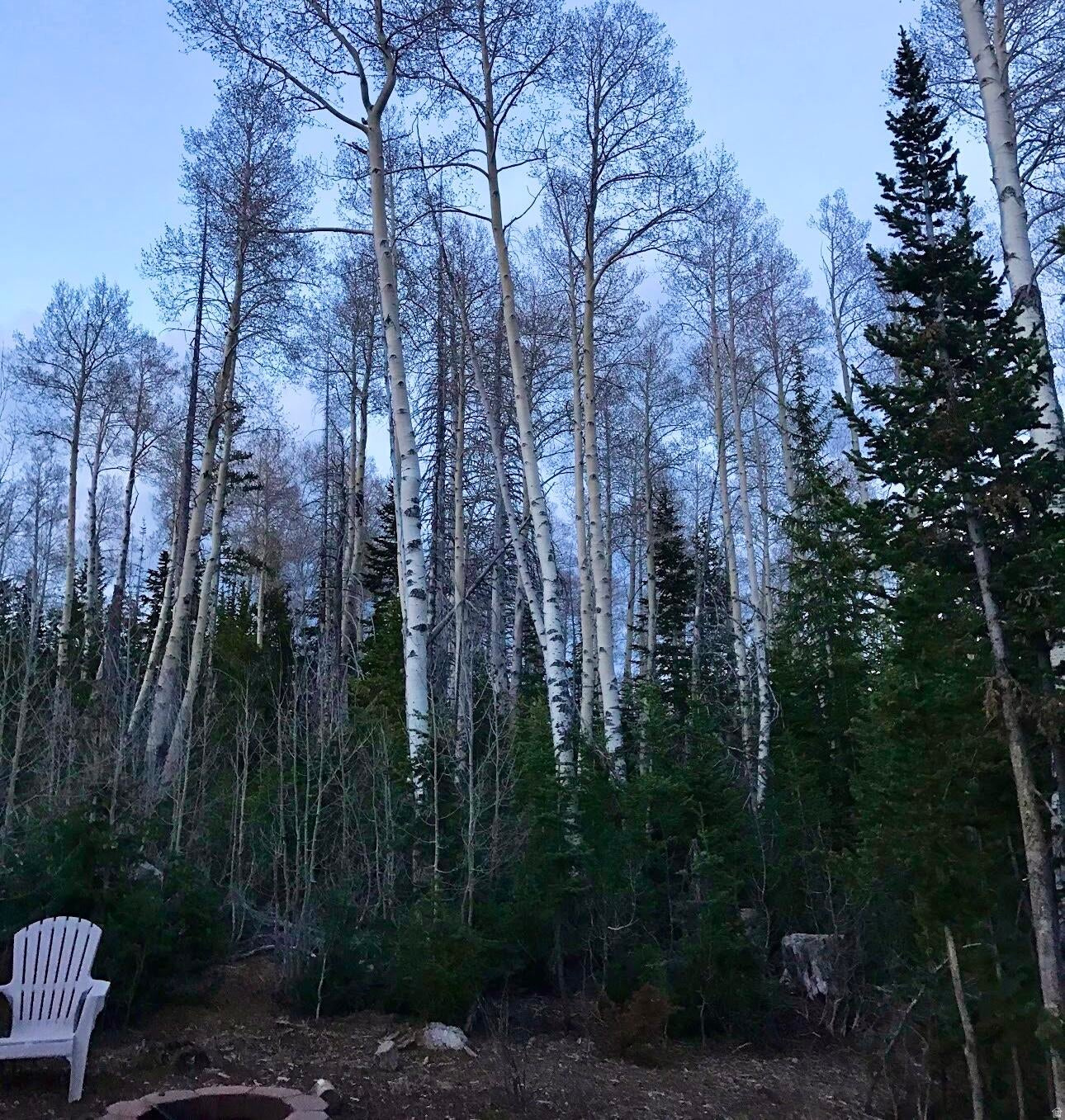 MEADOW LAKE ESTATES SUBDIVISION - Land