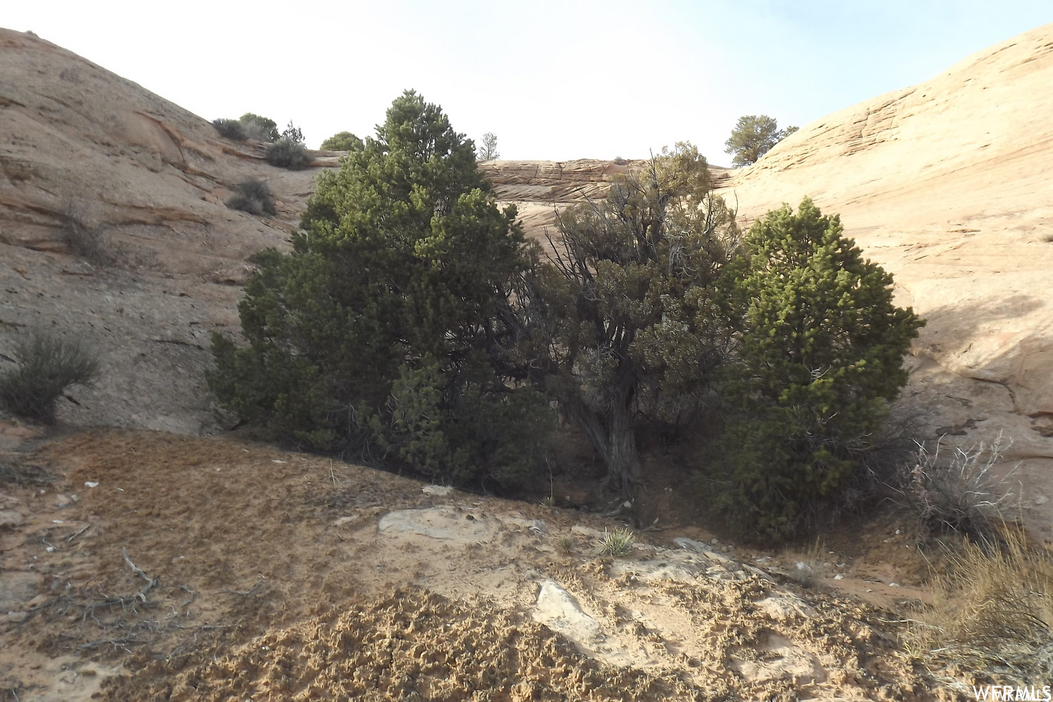 Looking Glass Rd, La Sal, Utah image 24