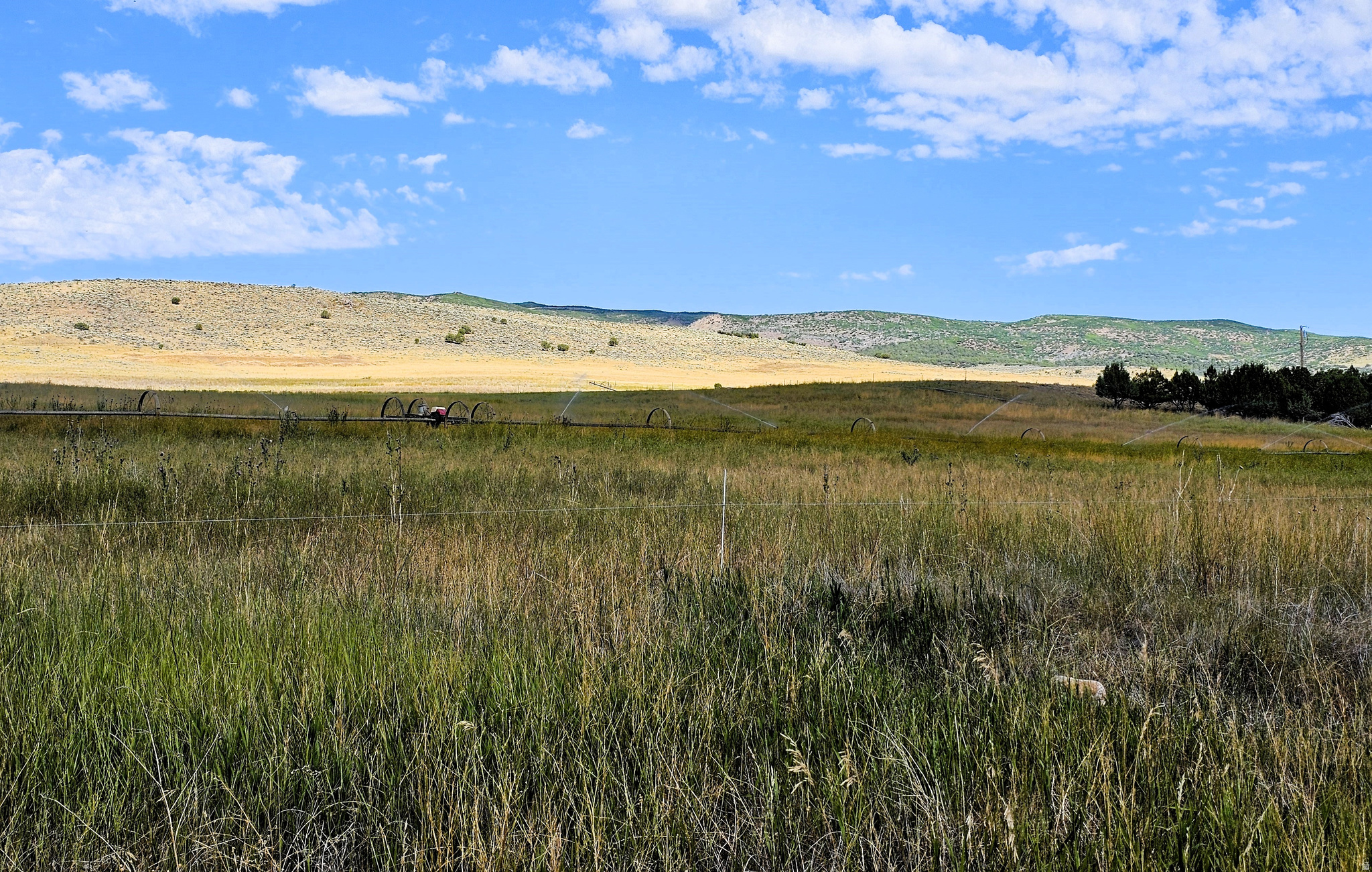 JUINPER FIELDS - Land