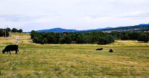 Vacant Land For Sale - 7 Juniper #7<br/> Fairview, UT 84629