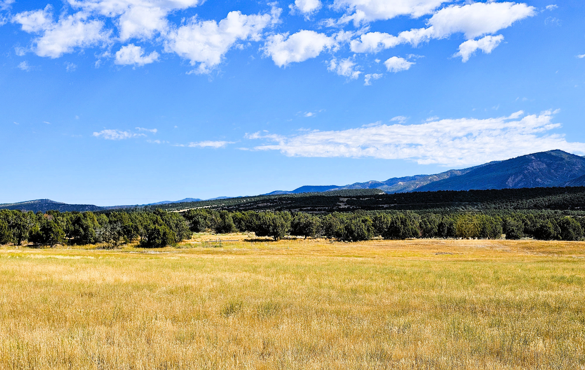 JUINPER FIELDS - Land