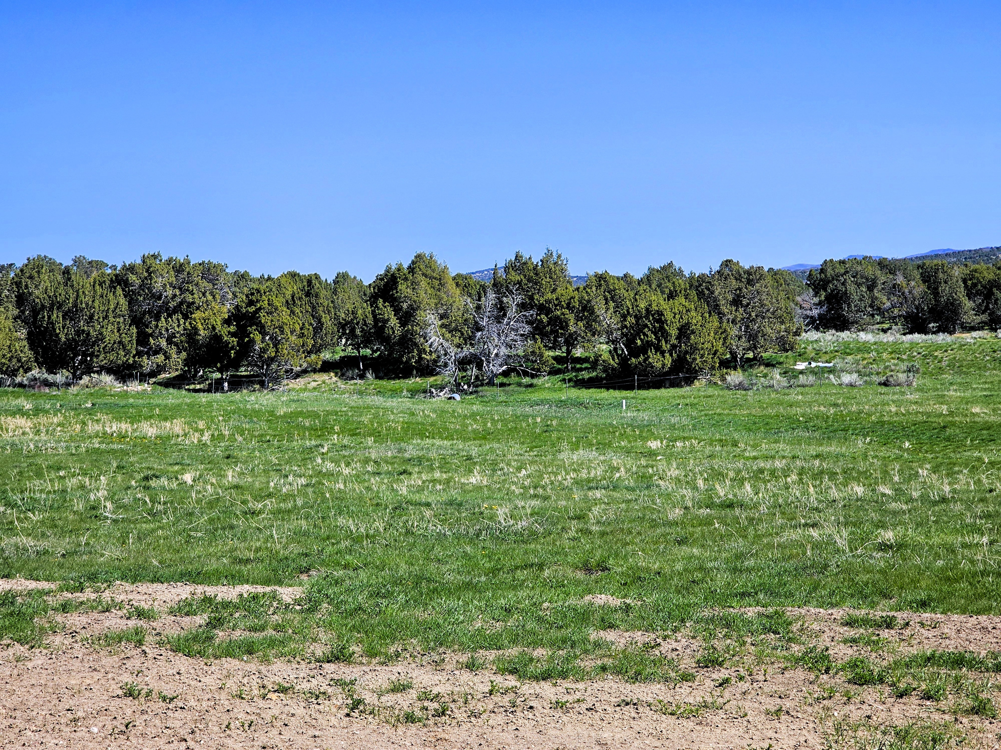 JUINPER FIELDS - Land