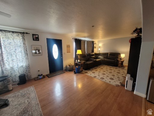 805 N Valley View Dr, Castle Dale, Utah image 5