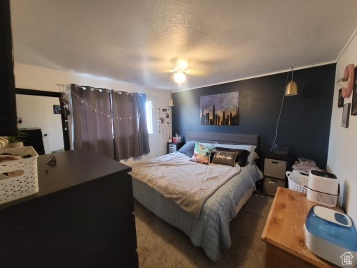 805 N Valley View Dr, Castle Dale, Utah image 11