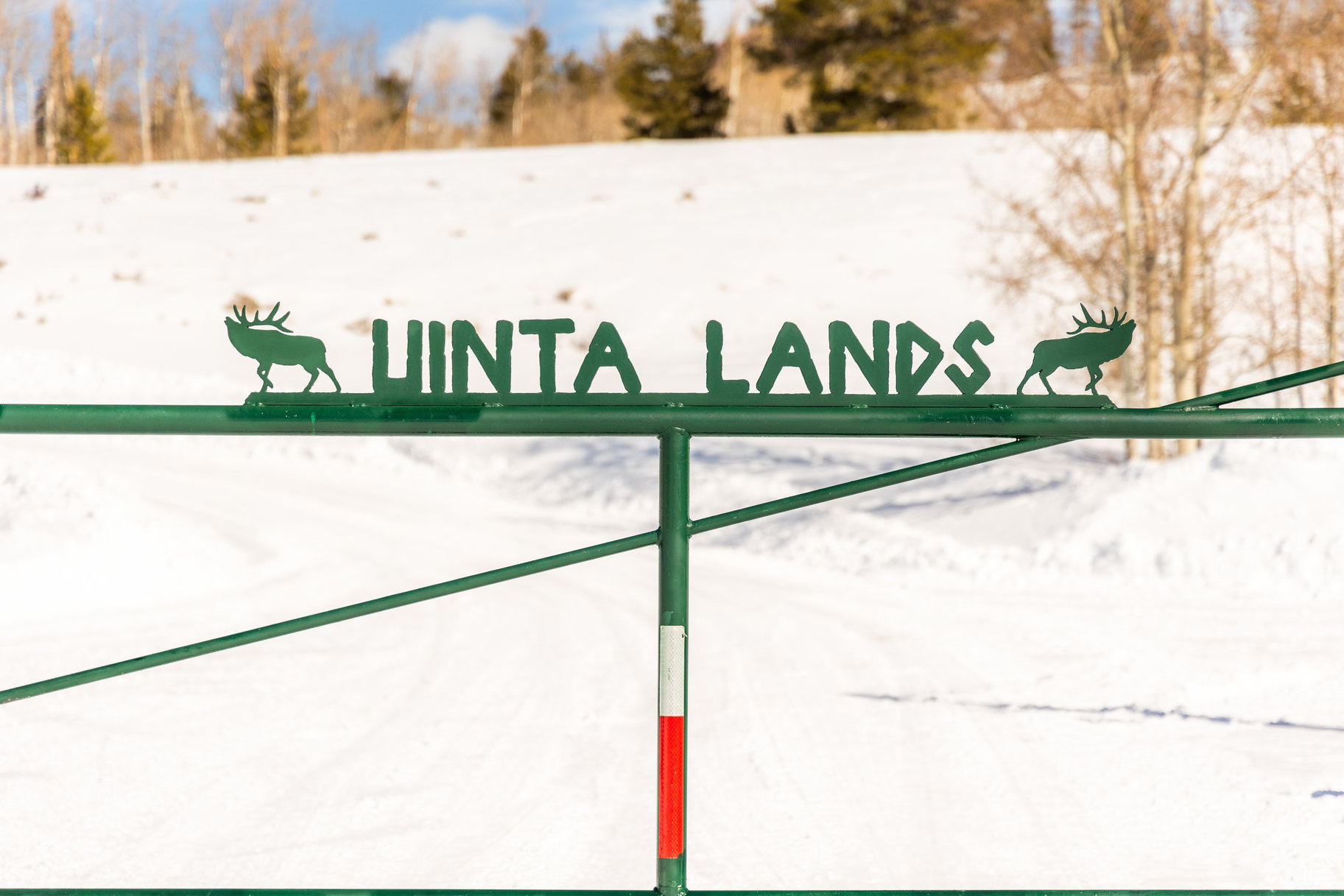 #69A, Kamas, Utah image 19