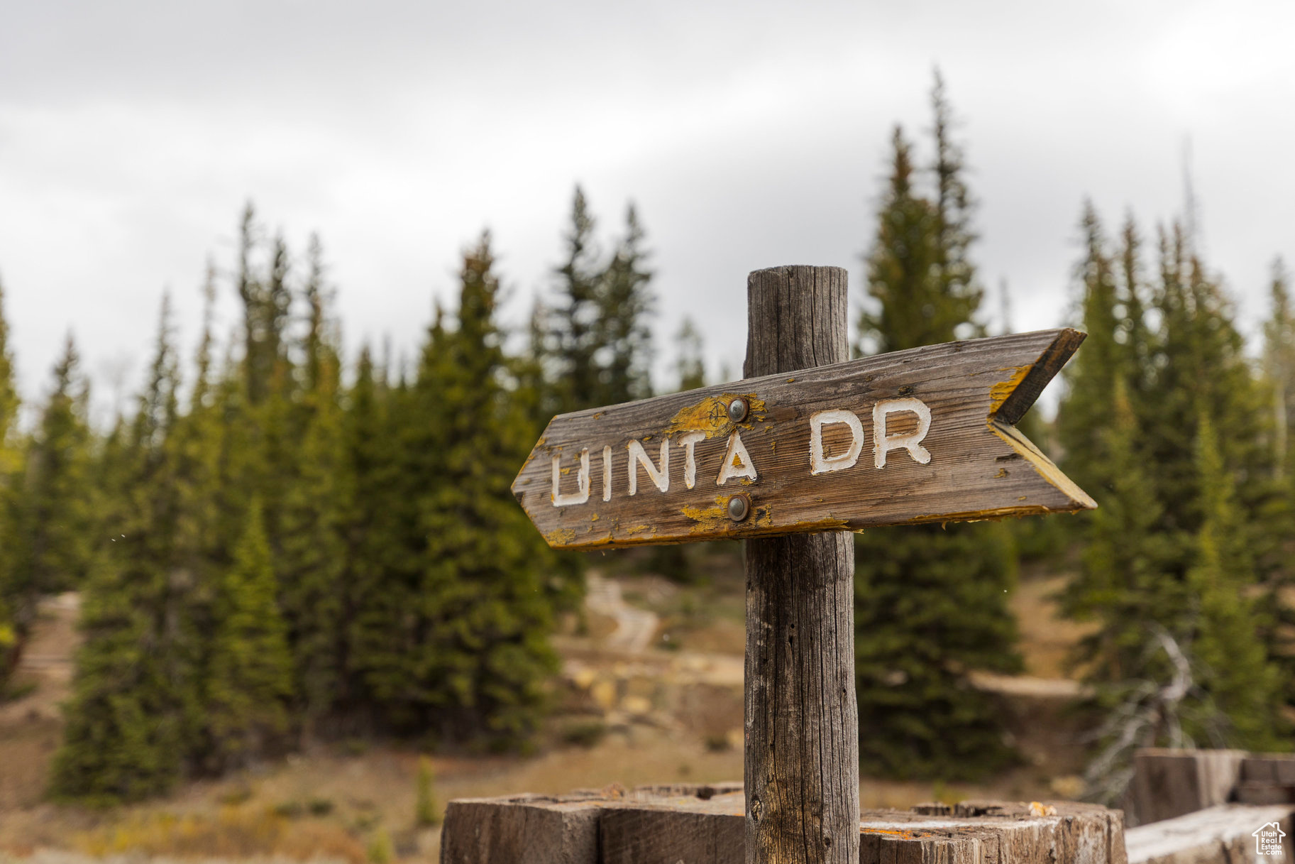 #69A, Kamas, Utah image 6