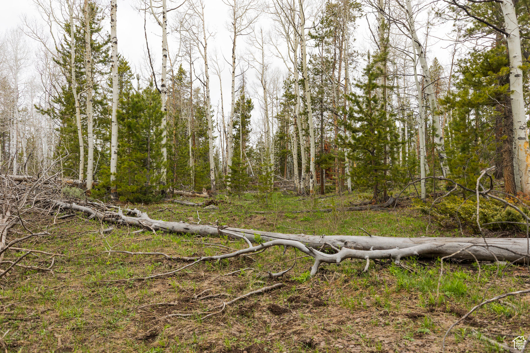#69A, Kamas, Utah image 9
