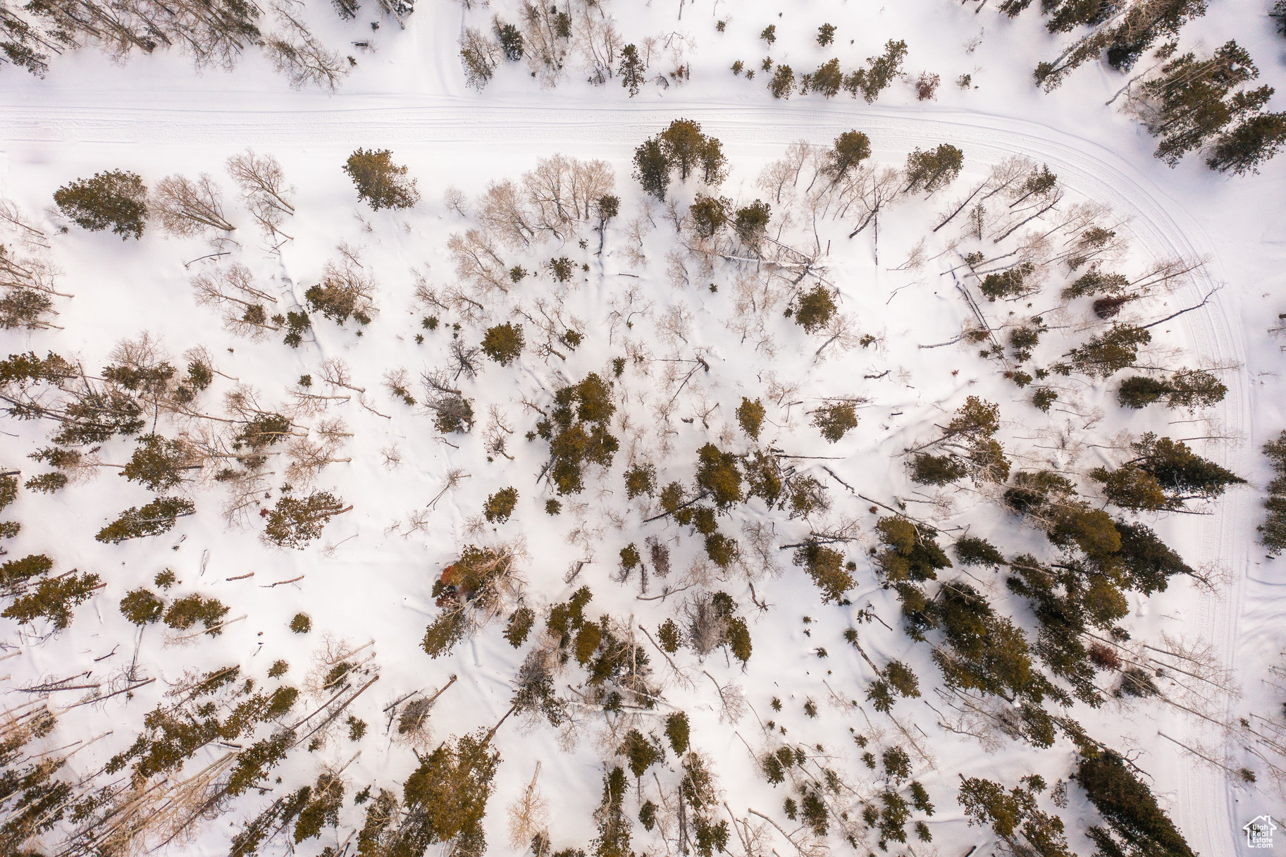 #69A, Kamas, Utah image 11