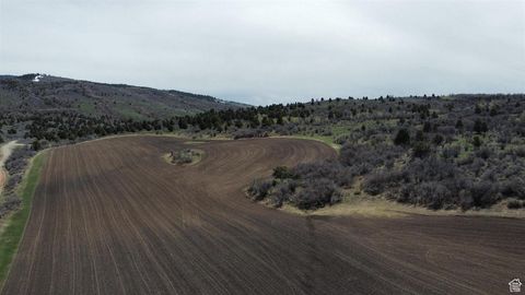 Vacant Land For Sale - Land<br/> Grace, ID 83241