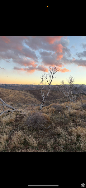 MOUNTAIN VIEW ESTATES - Land