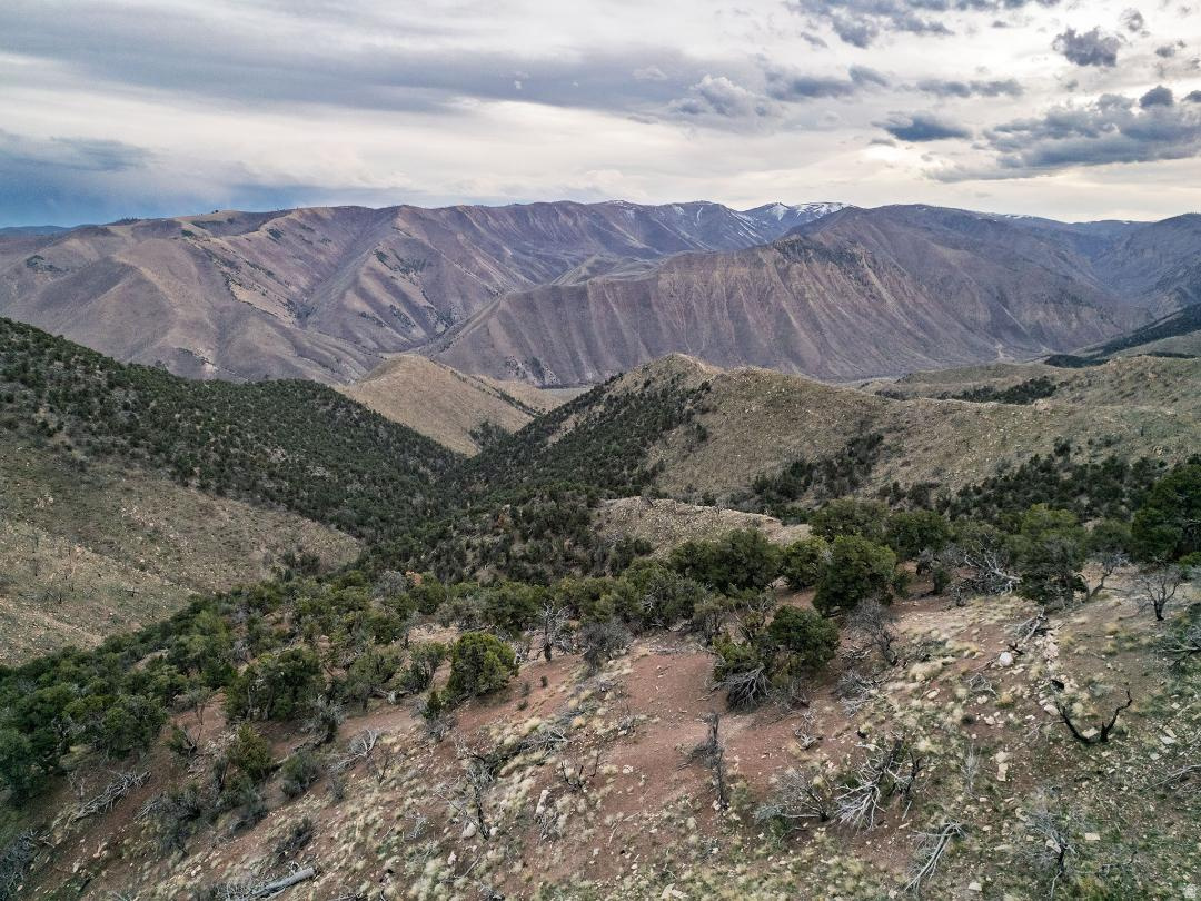 MOUNTAIN VIEW ESTATES - Land