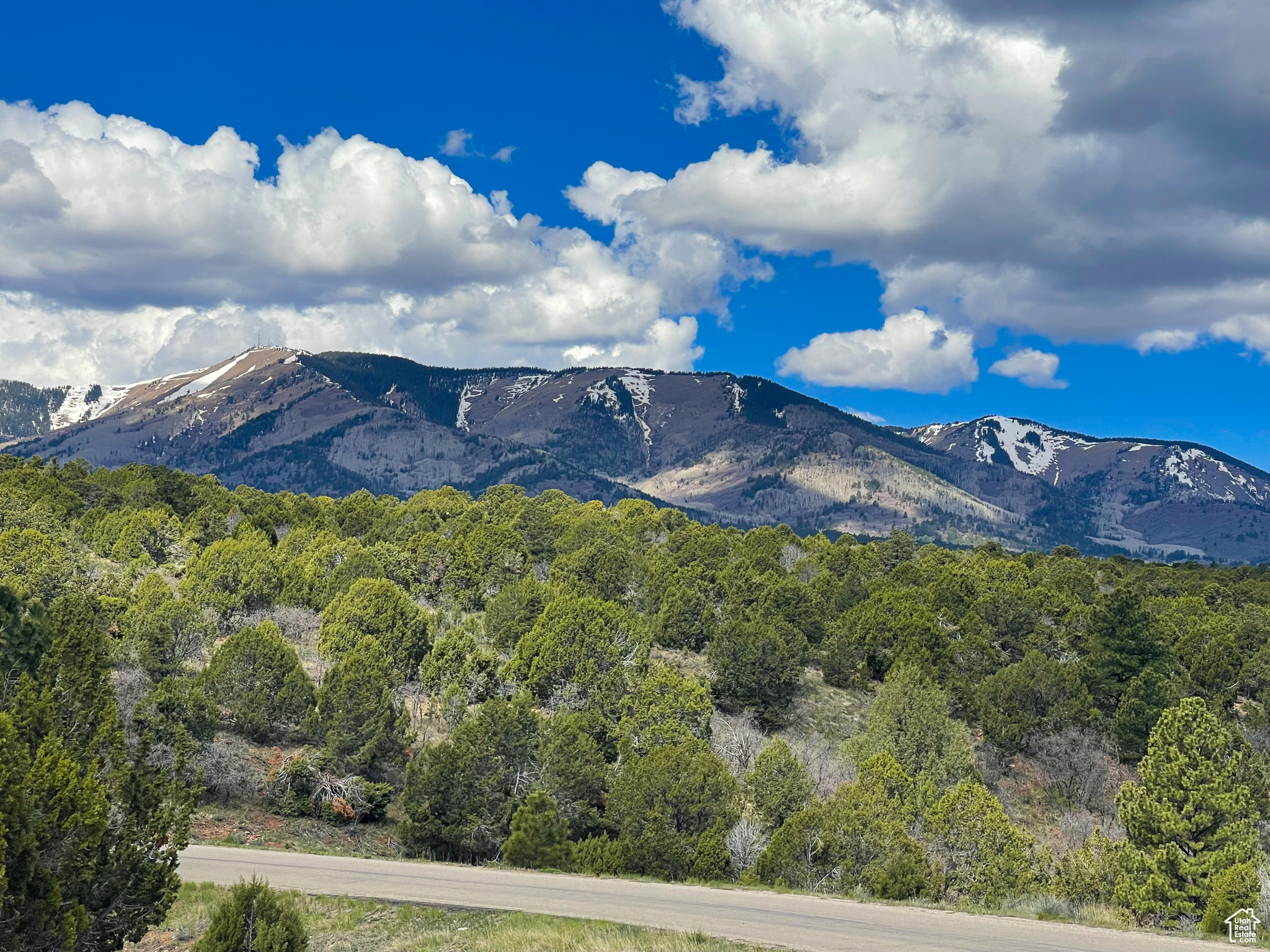 Land, Monticello, Utah image 24